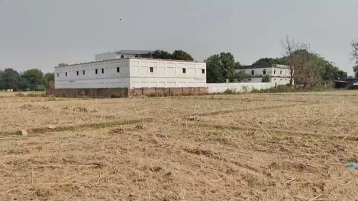 Image here
