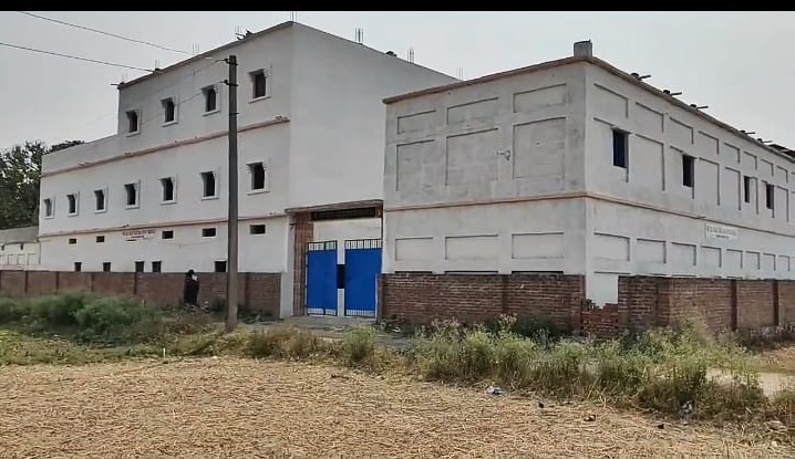 Image here
